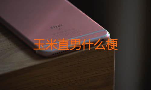 玉米直男什么梗