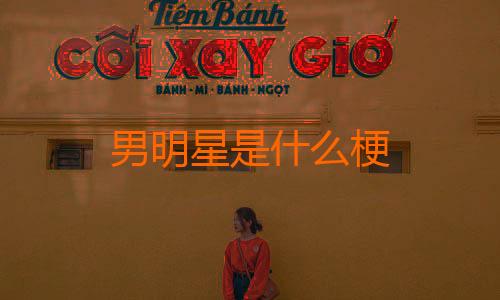 男明星是什么梗