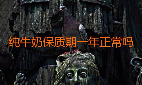 纯牛奶保质期一年正常吗