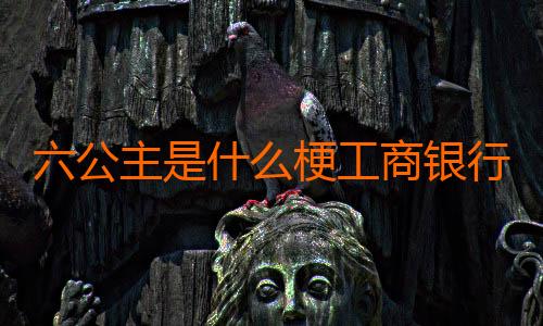 六公主是什么梗工商银行APP