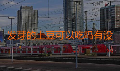 发芽的土豆可以吃吗有没有毒