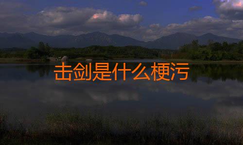 击剑是什么梗污