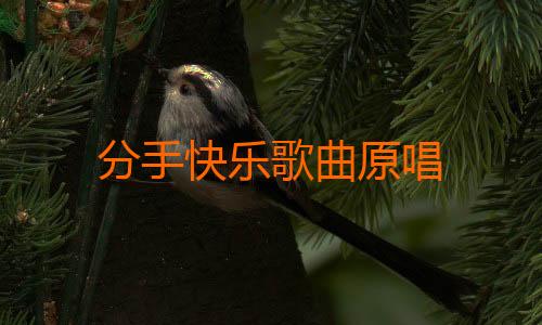 分手快乐歌曲原唱
