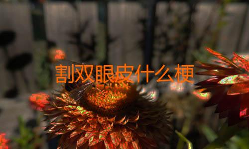 割双眼皮什么梗