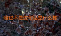 啥也不是这句话是什么梗