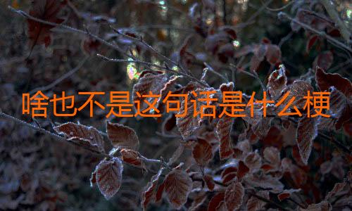 啥也不是这句话是什么梗