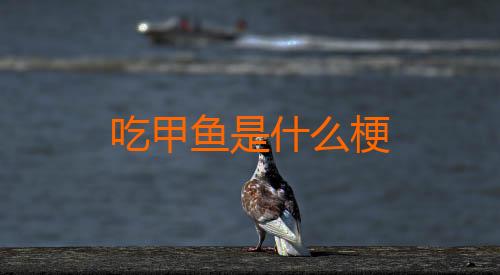 吃甲鱼是什么梗