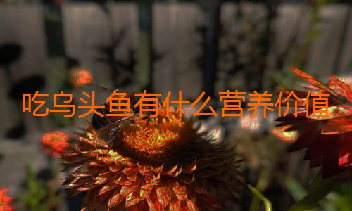 吃乌头鱼有什么营养价值