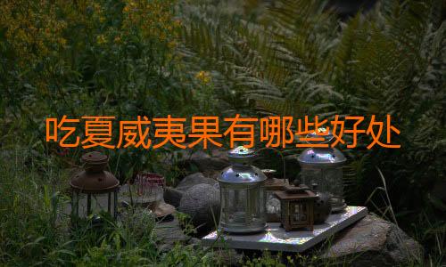 吃夏威夷果有哪些好处