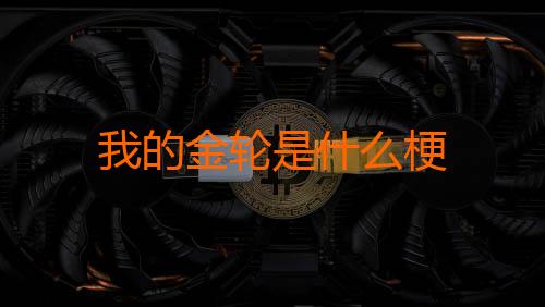 我的金轮是什么梗