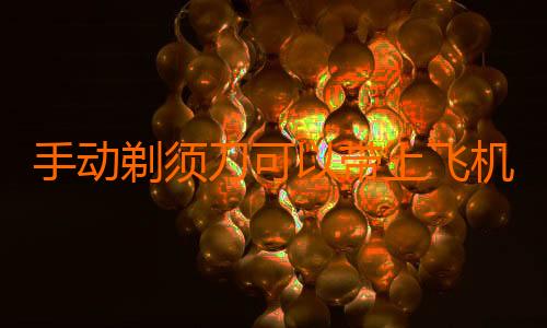 手动剃须刀可以带上飞机吗