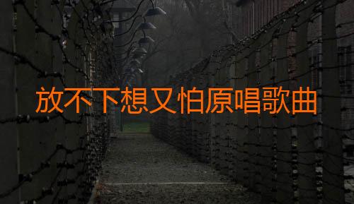 放不下想又怕原唱歌曲