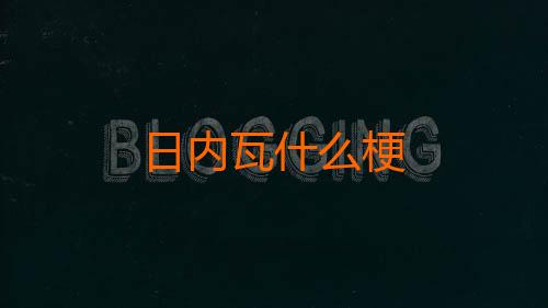 日内瓦什么梗