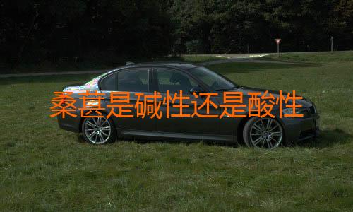 桑葚是碱性还是酸性