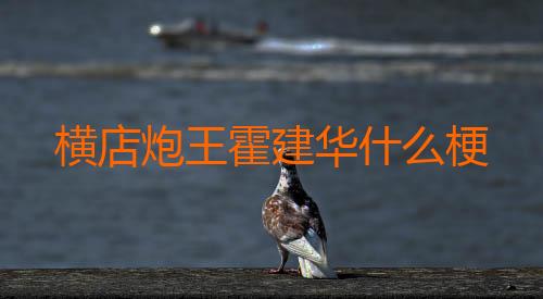 横店炮王霍建华什么梗