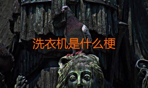 洗衣机是什么梗