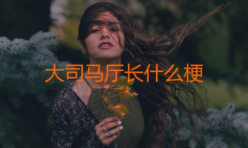 大司马厅长什么梗