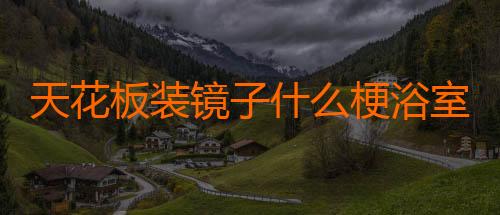 天花板装镜子什么梗浴室装把手