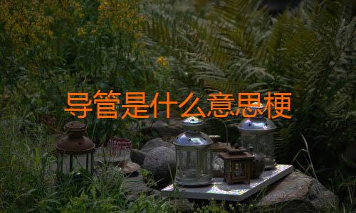 导管是什么意思梗