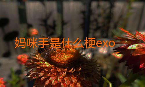 妈咪手是什么梗exo