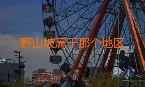 野山坡属于那个地区