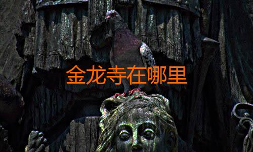 金龙寺在哪里