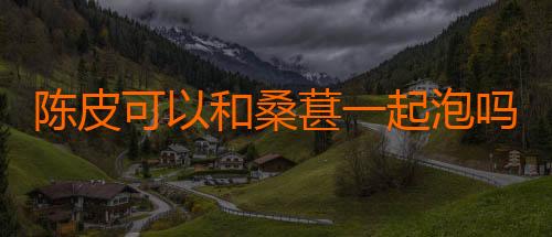 陈皮可以和桑葚一起泡吗