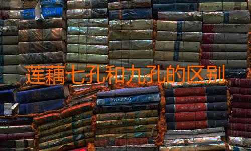 莲藕七孔和九孔的区别