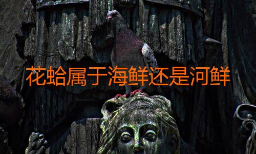 花蛤属于海鲜还是河鲜