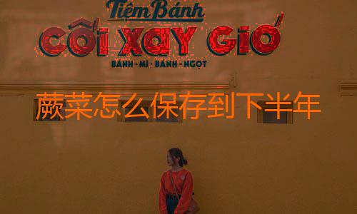 蕨菜怎么保存到下半年