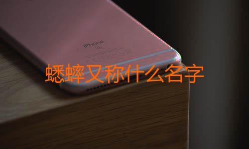 蟋蟀又称什么名字